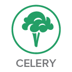 Celery